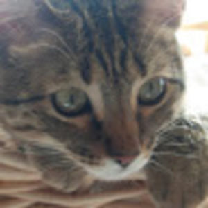 Meet your Posher, Vr